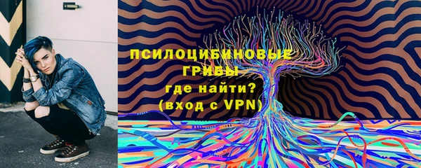 кристаллы Богородск
