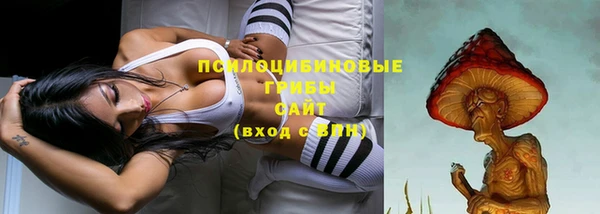 круглые Богданович
