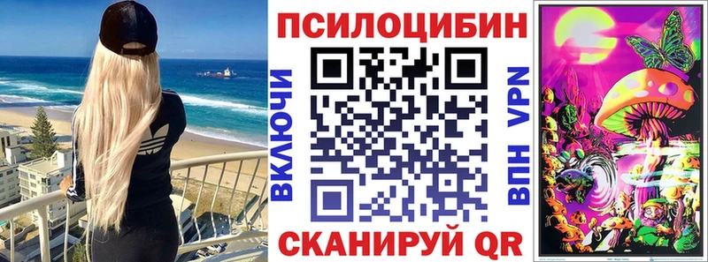 Галлюциногенные грибы Psilocybine cubensis  Балаково 