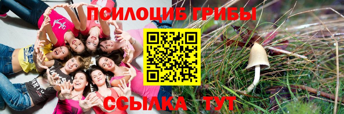 Балаково  Псилоцибиновые грибы ЛСД  цена   Вход с VPN 