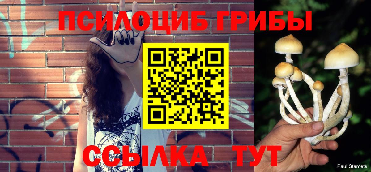 Галлюциногенные грибы Magic Shrooms Балаково