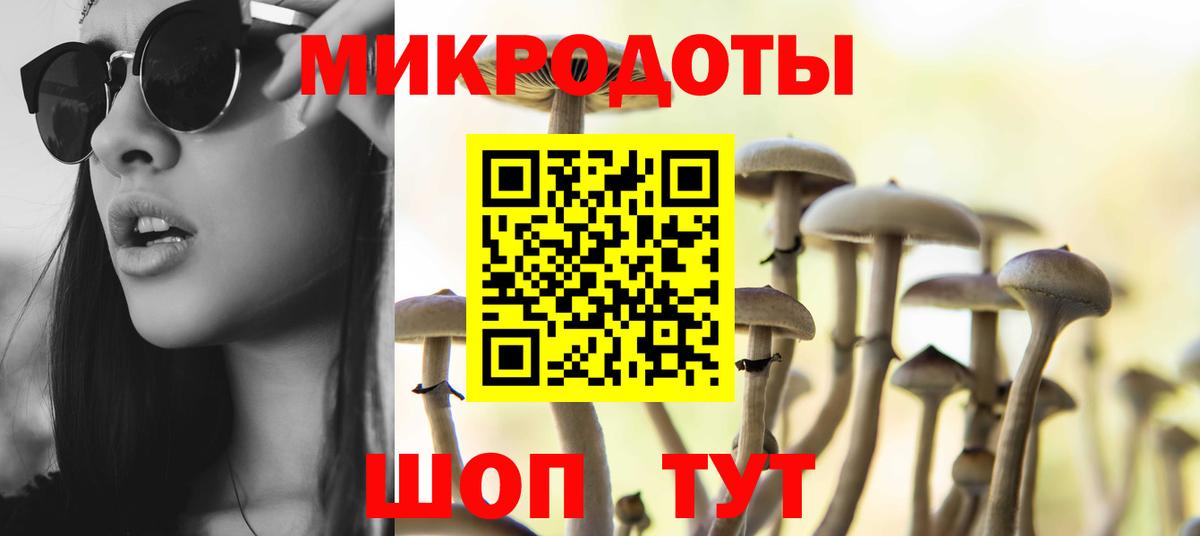 Галлюциногенные грибы прущие грибы  Балаково 